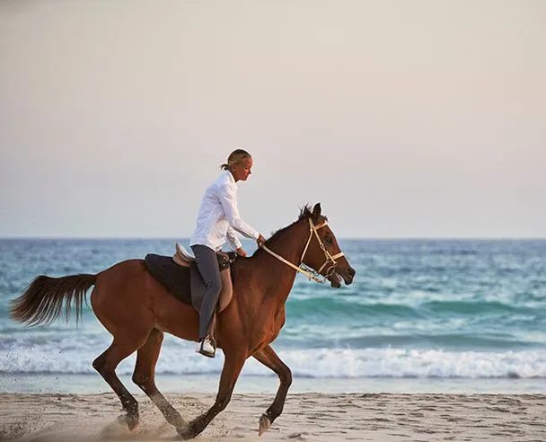 Saheel Equestrian Ranch